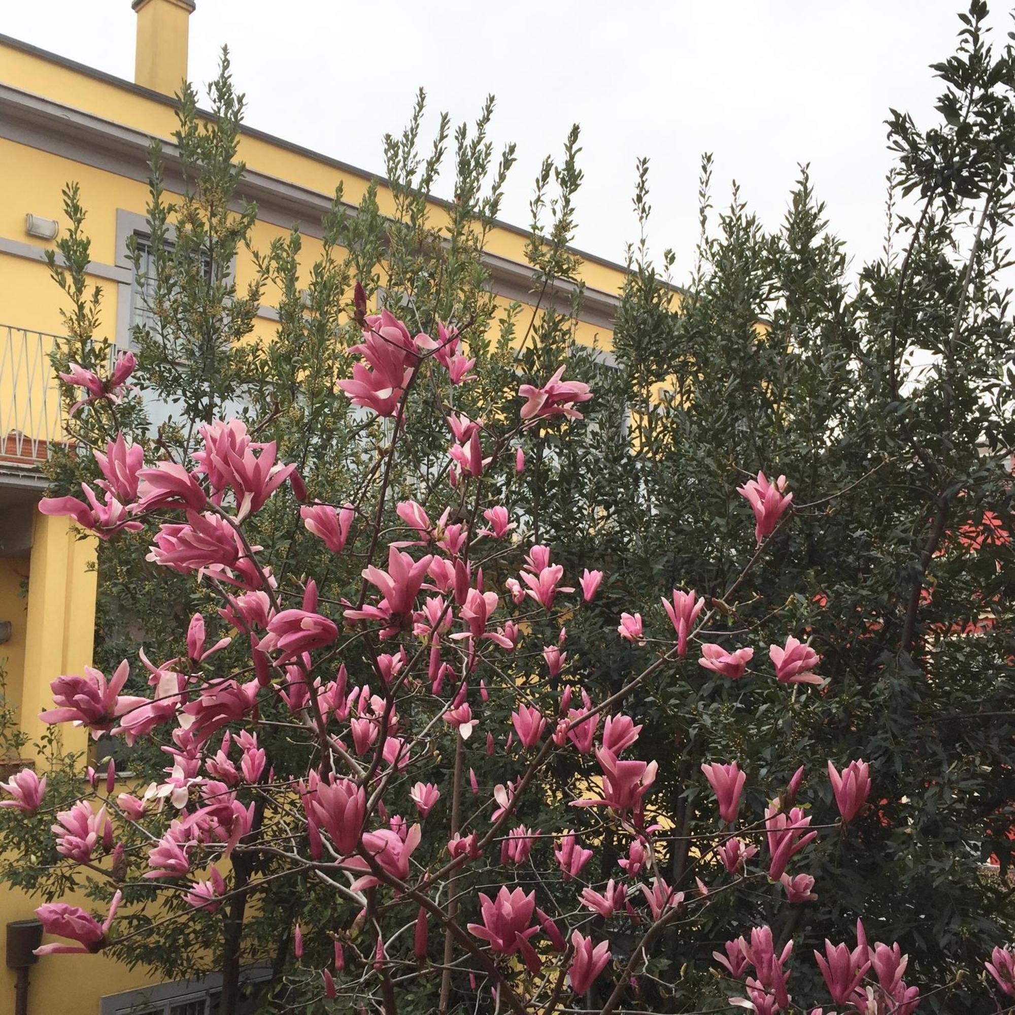 Navigli Downtown Cocco House Apartment Милано Екстериор снимка